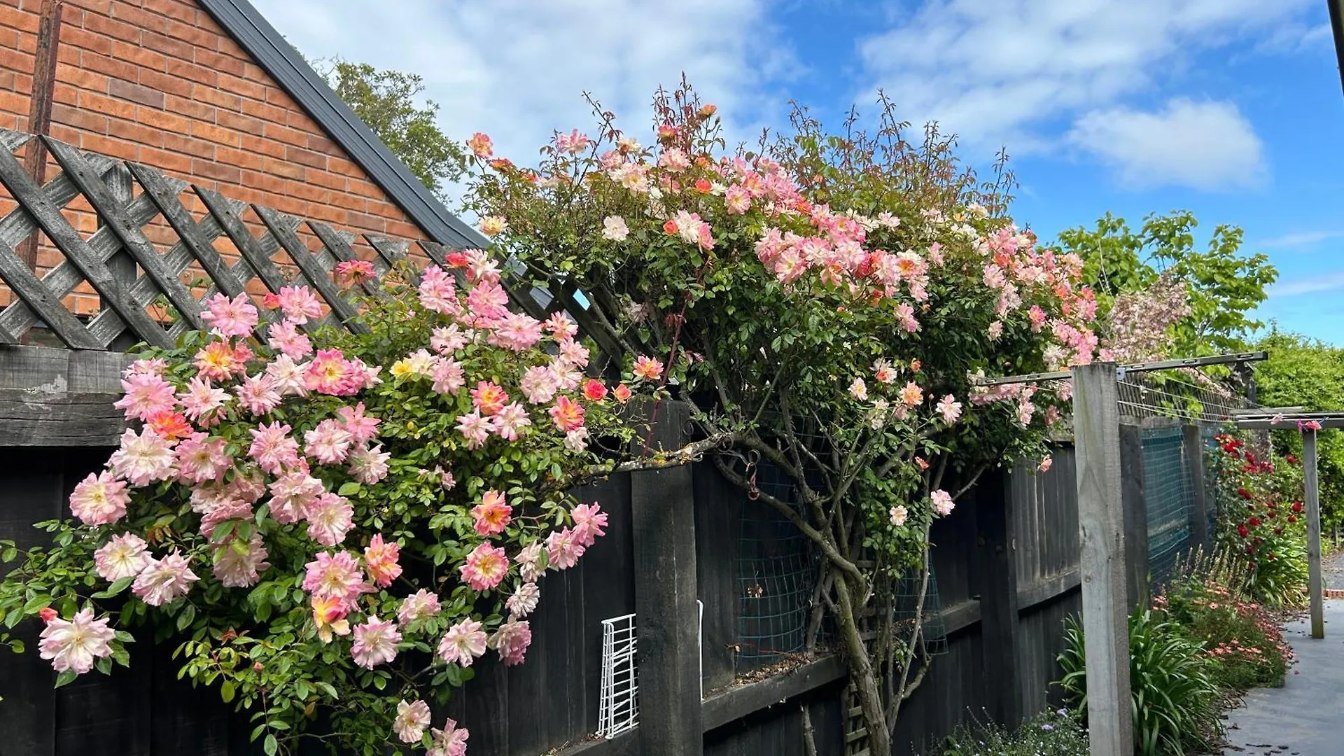Sunny Garden Retreat - 3-Br Home Near Mall, City & Airport Christchurch 0*,  Nuova Zelanda